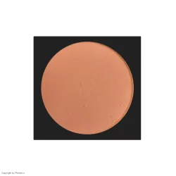 رژگونه لاکچری کوین 412