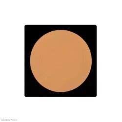 پنکک لاکچری کوین شماره ۱۰۶