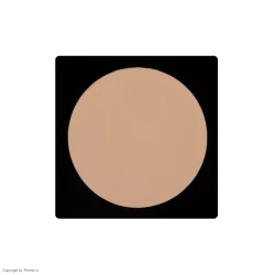 پنکک لاکچری کوین شماره ۱۰۱