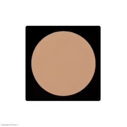 پنکک لاکچری کوین شماره ۱۰۲