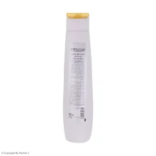 شامپو ترمیم کننده هیدرودرم حاوی شیر و عسل حجم 250 میلی لیتر