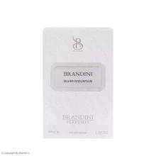 عطر جیبی برندینی مدل Silver Mountain حجم 33 میلی لیتر