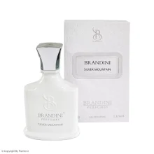 عطر جیبی برندینی مدل Silver Mountain حجم 33 میلی لیتر