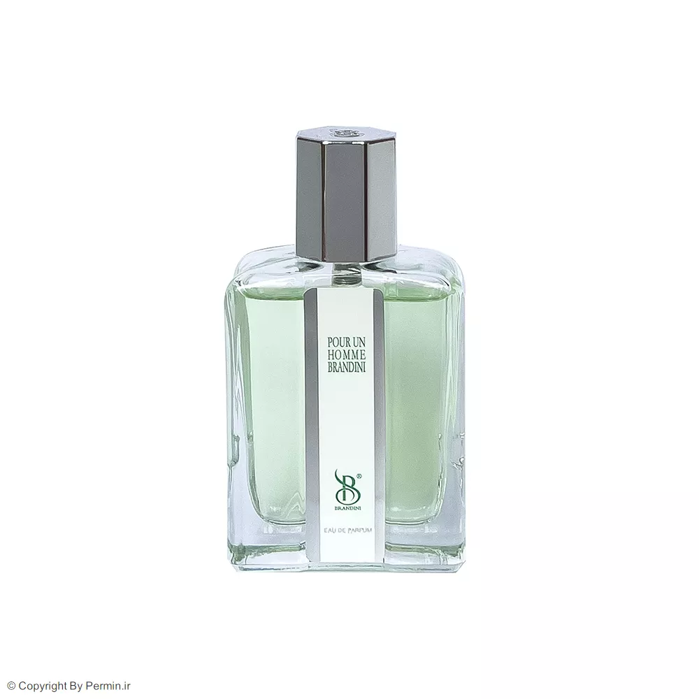 عطر جیبی مردانه برندینی مدل Pour Un Homme حجم 33 میلی لیتر
