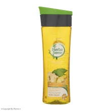 شامپو کراتینه ضد شوره آردن هرباسنس حاوی عصاره جنسینگ و زنجبیل حجم 300 میلی لیتر